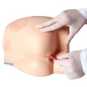 simulador-para-sonda-retal-e-injecao-intramuscular-anatomic.centermedical.com.br