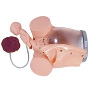 simulador-de-parto-com-cervix-episiotomia-e-feto-com-placenta.centermedical.com.br