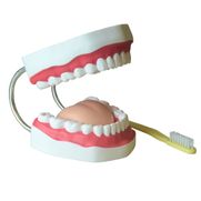 arcada-dentaria-com-lingua-e-escova.centermedical.com.br