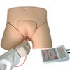 simulador-de-cateterismo-vesical-e-lavagem-intestinal-bissexual-com-dispositivo-de-controle..centermedical.com.br